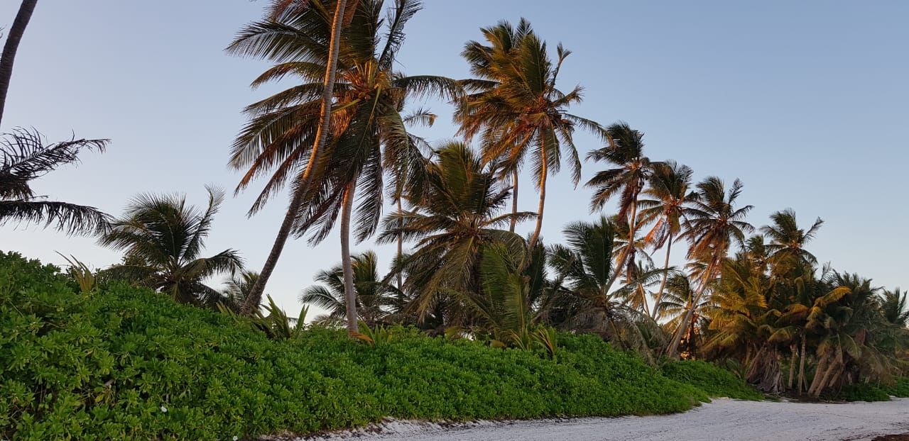 punta cana 1 - photography